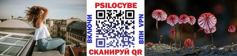 как найти закладки  Старица  KRAKEN зеркало  Псилоцибиновые грибы ЛСД 