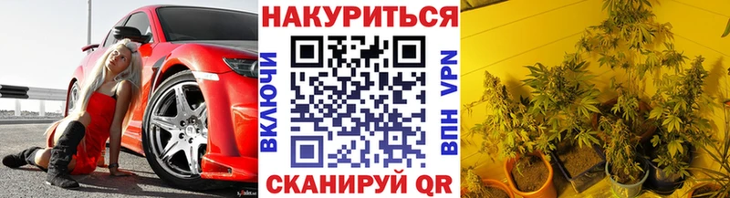 Шишки марихуана Bruce Banner  дарнет шоп  Старица 